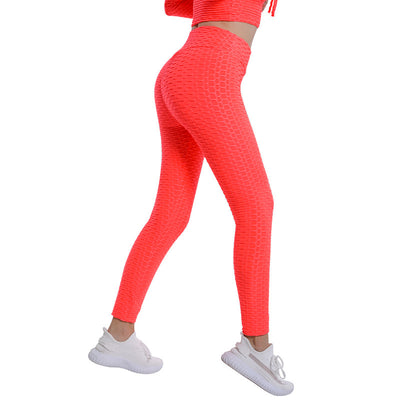 Jacquard High Elastic Sports Gym Pants Women's Fitness