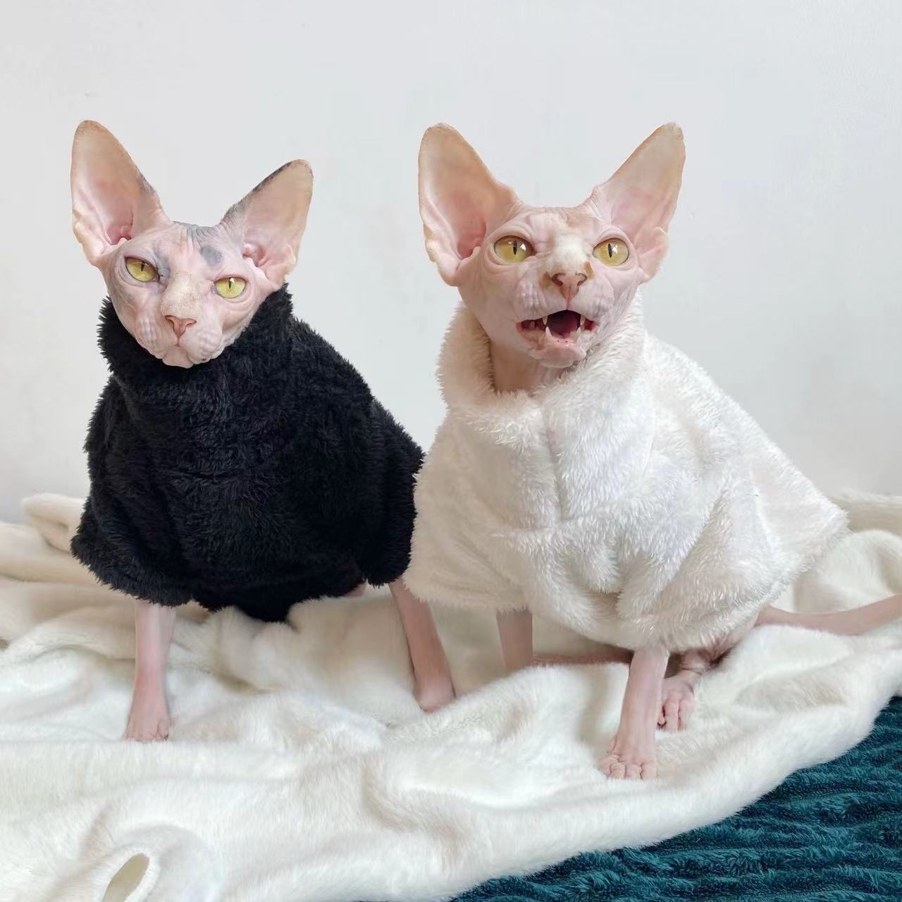 Winter Pet Clothes Warm-keeping And Cold-proof Plush