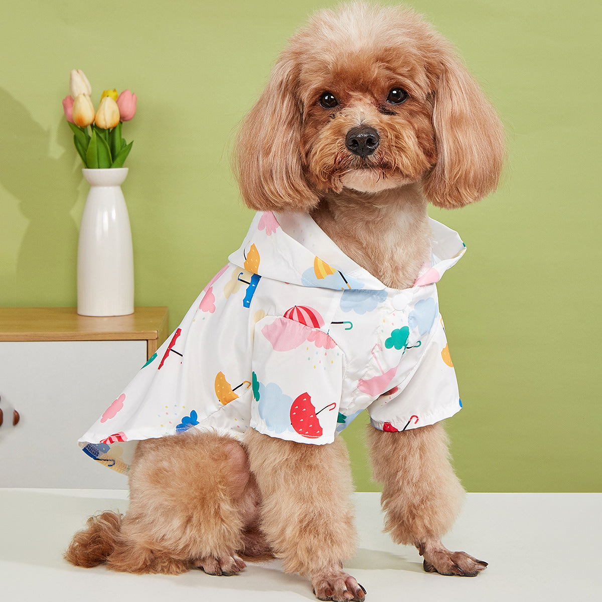 Cute Cartoon Pattern Colorful Pet Clothes
