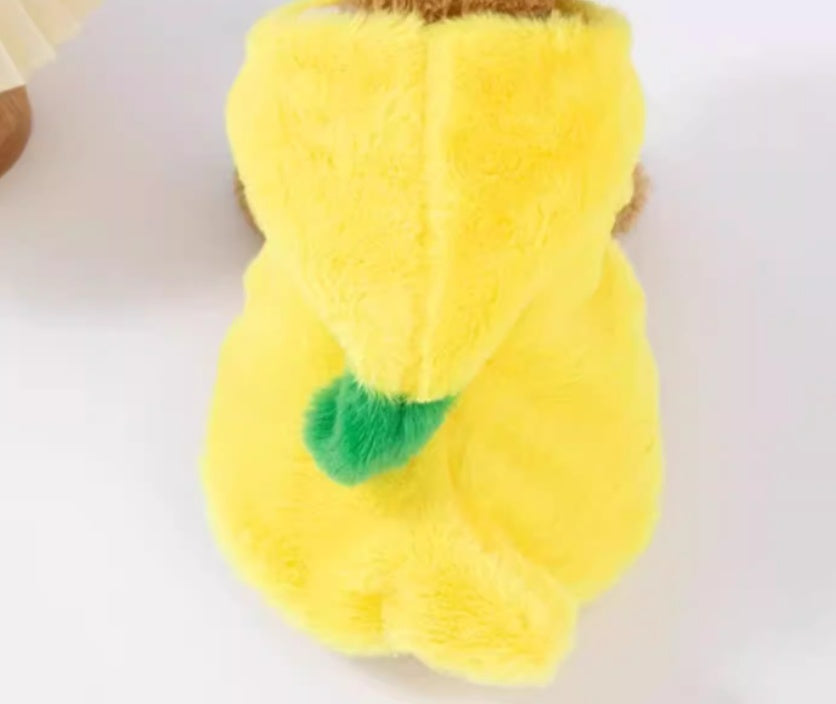Dog Clothes Autumn And Winter Funny Banana Pet Costume