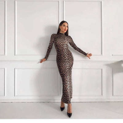 Fashion Leopard Print Stand Collar Long Sleeve Long Dress