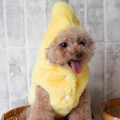 Dog Clothes Autumn And Winter Funny Banana Pet Costume